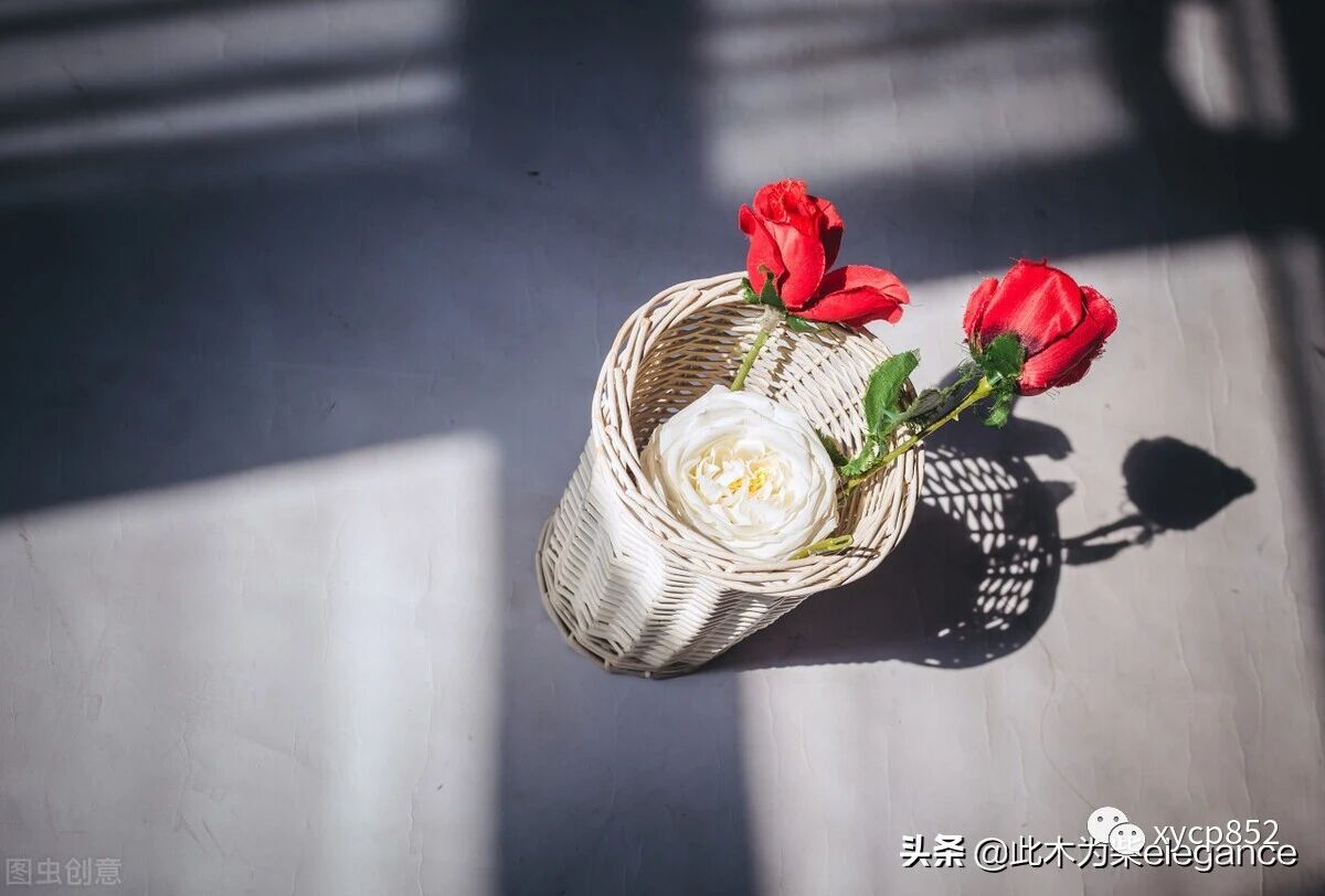 敢试试 凶宅试睡员 1分钟1块 网友 我能睡到他破产 职业 全网搜