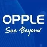 See beyond|OPPLE 2018 annual financial report has been relea