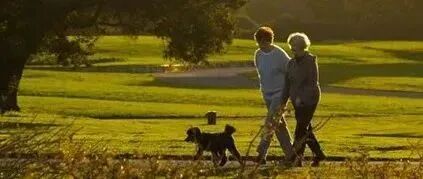 50岁以后少锻炼，才是最好的长寿方！国家级老中医都认同