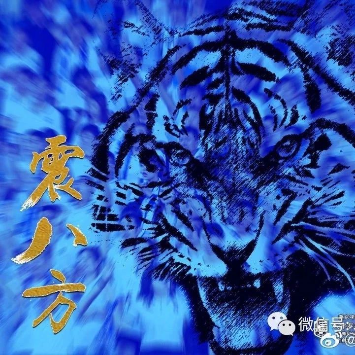 【泰达】23岁的泰达足球队正式成为一段历史，“津门虎”期待虎虎生威