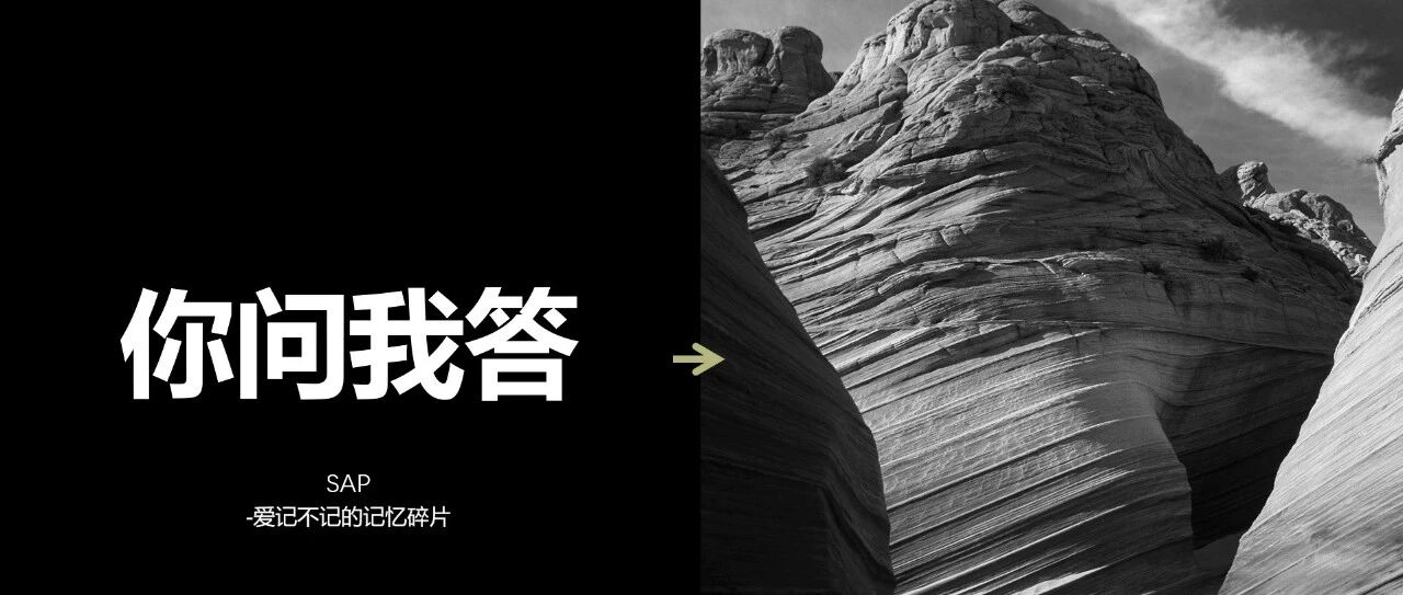 SAP 标准返利解决方案说明 - 封面图