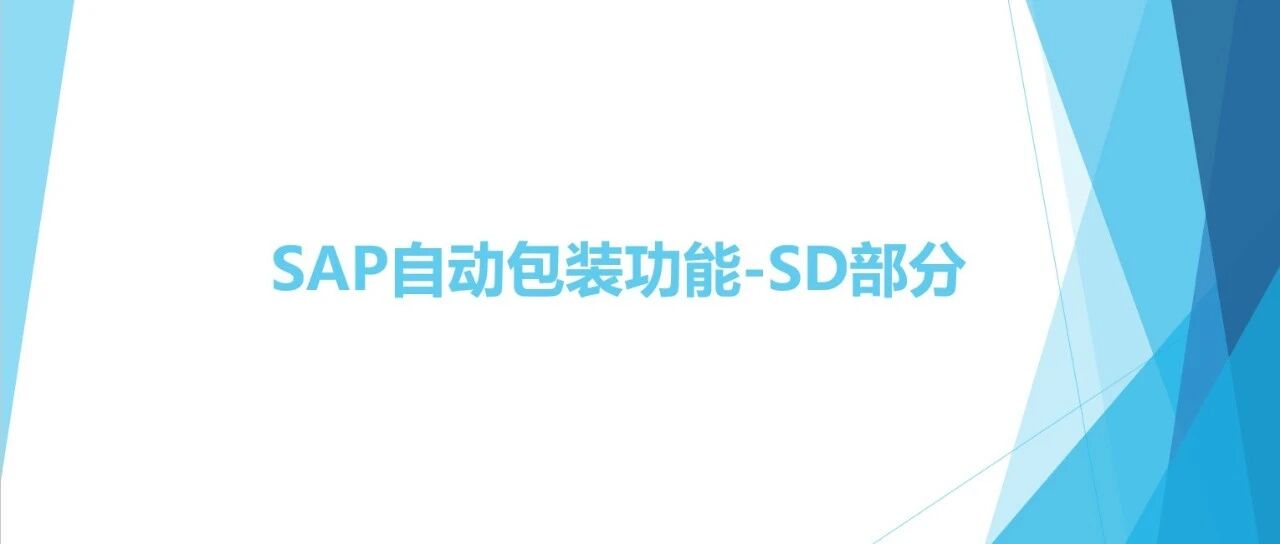 SAP 自动包装功能 SD 部 - 封面图