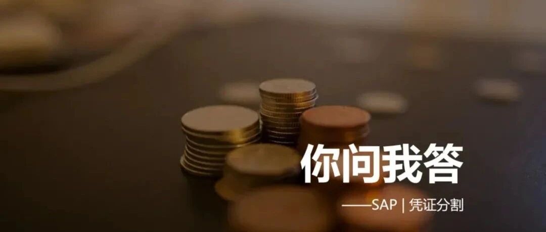 凭证分割在利润中心中的应用 - 封面图