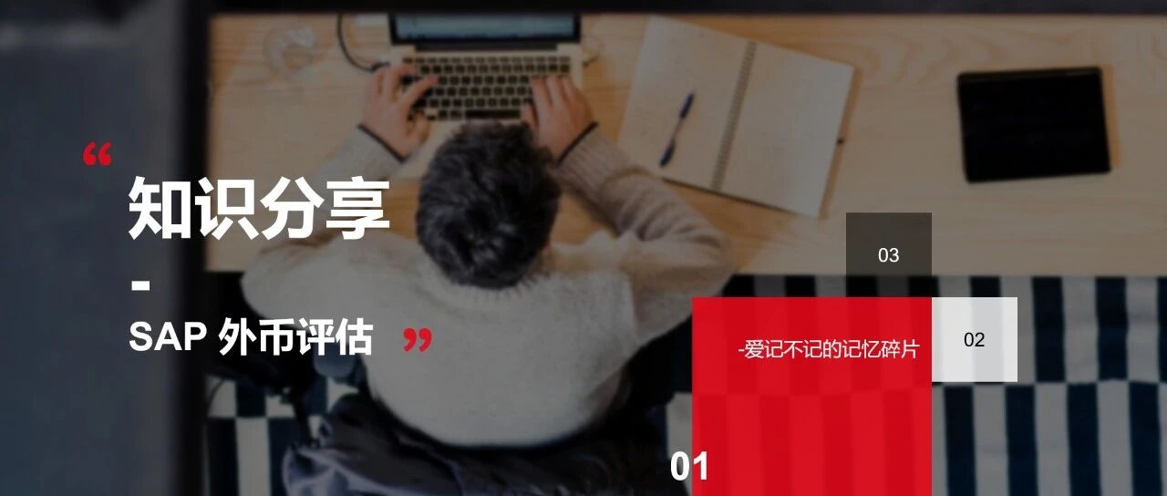 关于 SAP 外币评估功能在财务核算中的应用 - 封面图