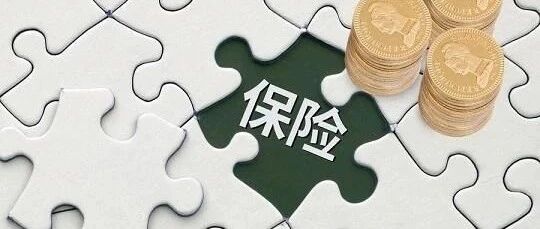 保险小黑话 - 封面图