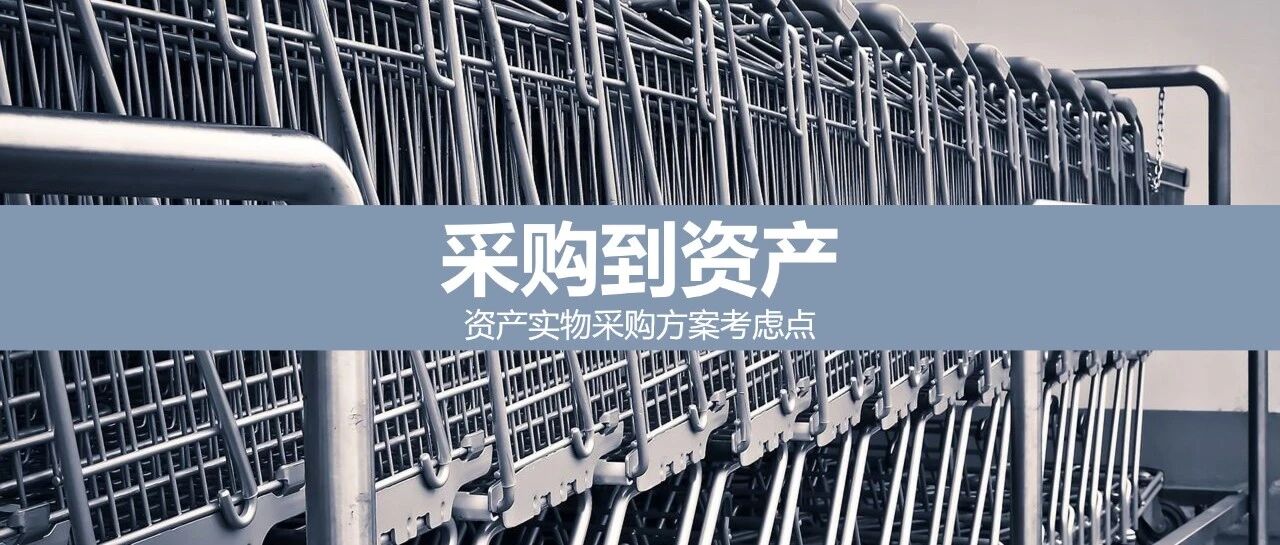 采购到资产资产实物采购方案考虑点 - 封面图