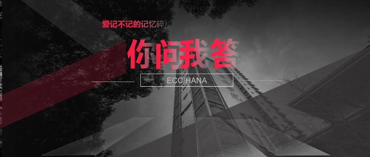 ECCamp HANA 之 FICO 异同 - 封面图