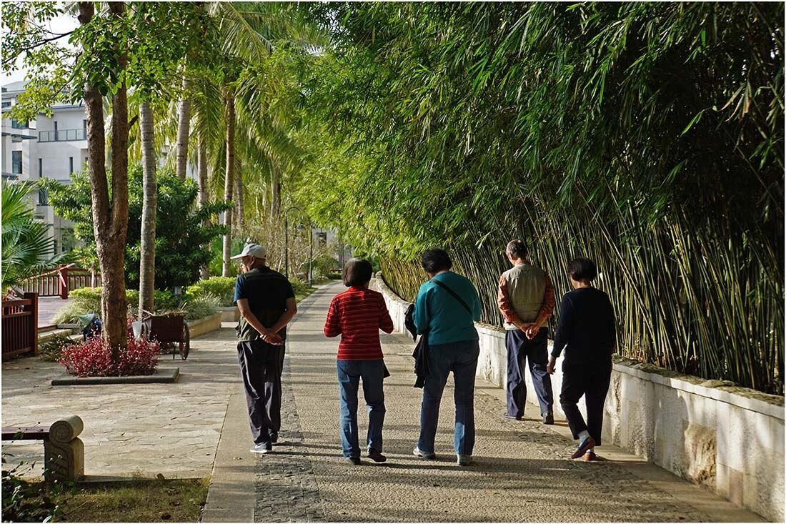 秋天喜欢散步的注意！换种走法，生病风险降一半！！