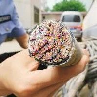 警钟长鸣！今年首单破坏通信网络案判决：三人故意剪断光缆均获有期徒刑