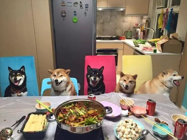 朋友一生一起走，谁先瘦了谁是狗.....