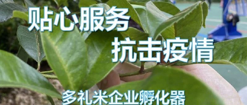 cover_image
