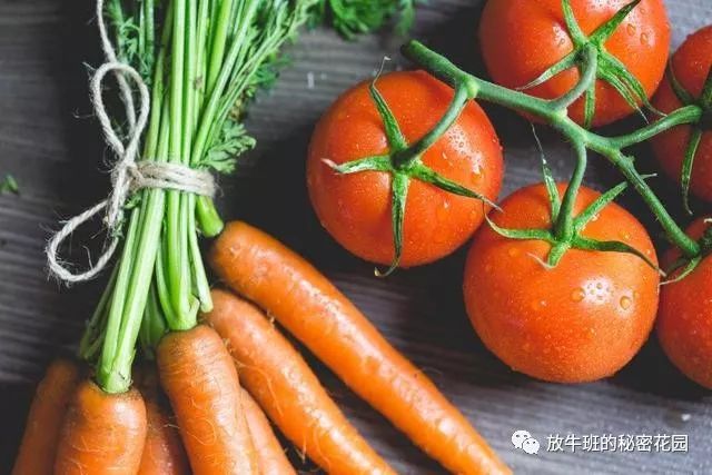 《孩子不吃蔬菜？15个简单办法轻松拿下》