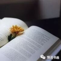 ​二胎,正在毁掉我们的上一代