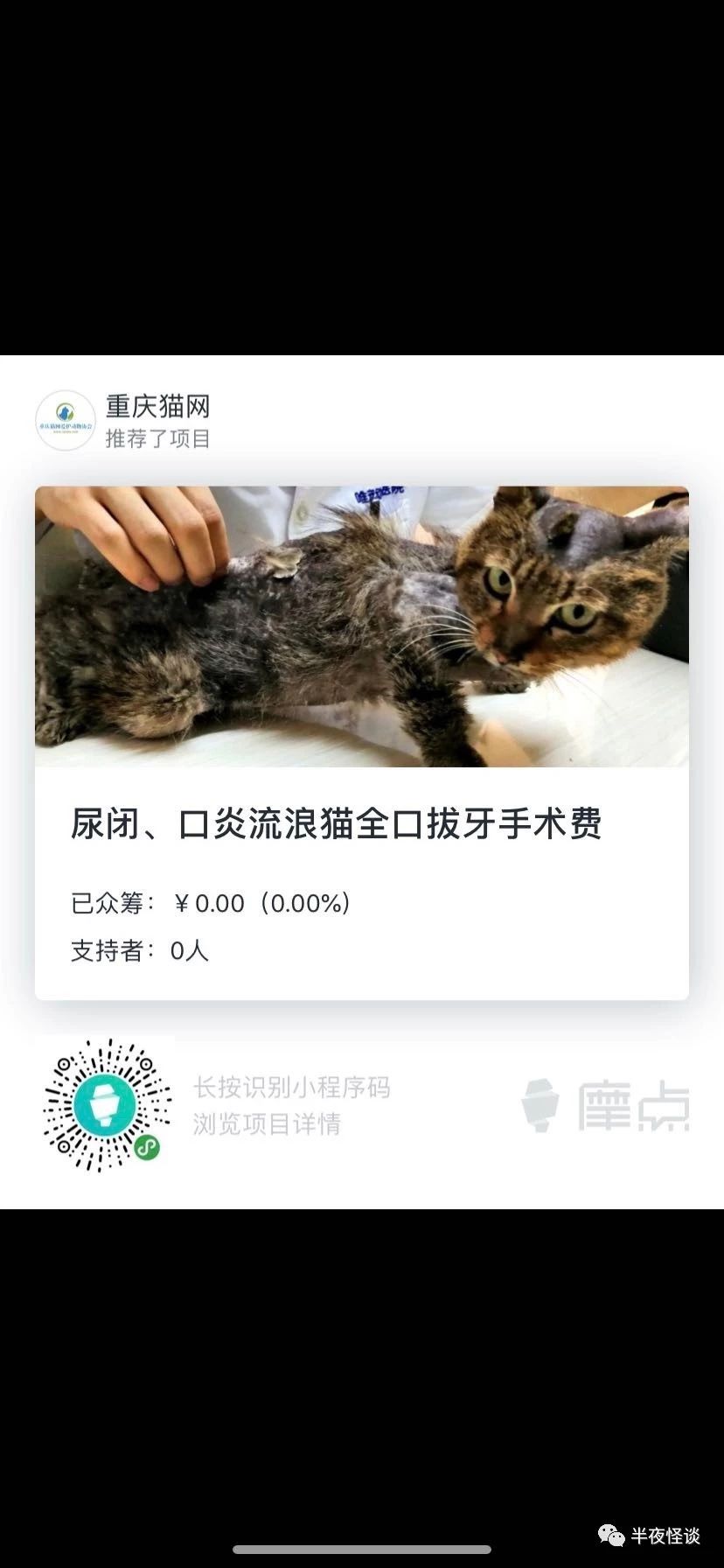 猫 我会为了你尽力的