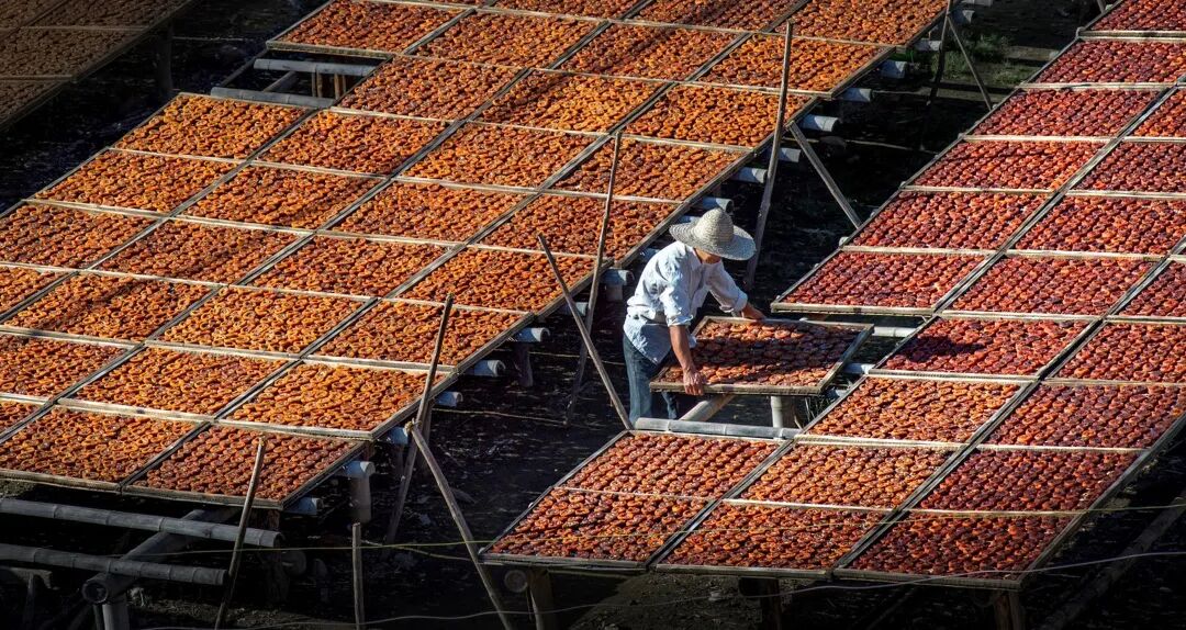 霜降 | 霜落成诗，花开成景