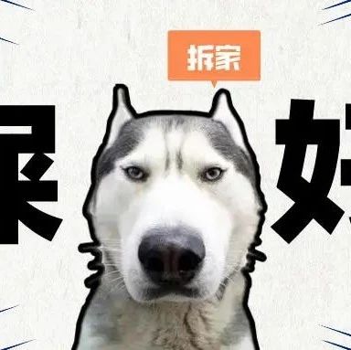 养狗？啥家庭啊，家里有矿啊？