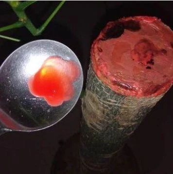 养花的偏方不少，这么省钱的，头一次见