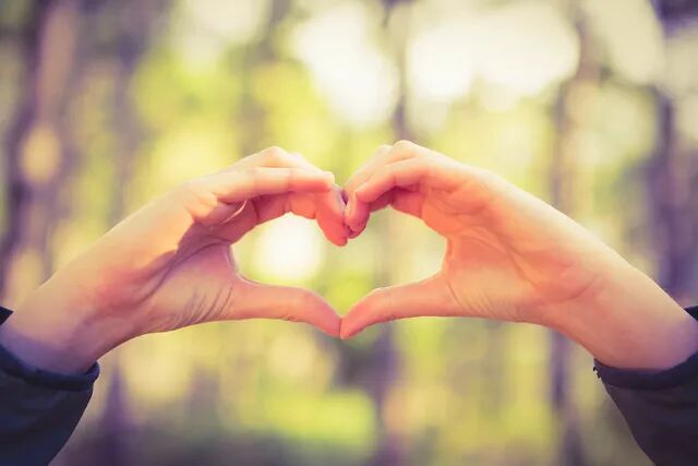 华莱早间分享：心怀感恩，才可拥有一切