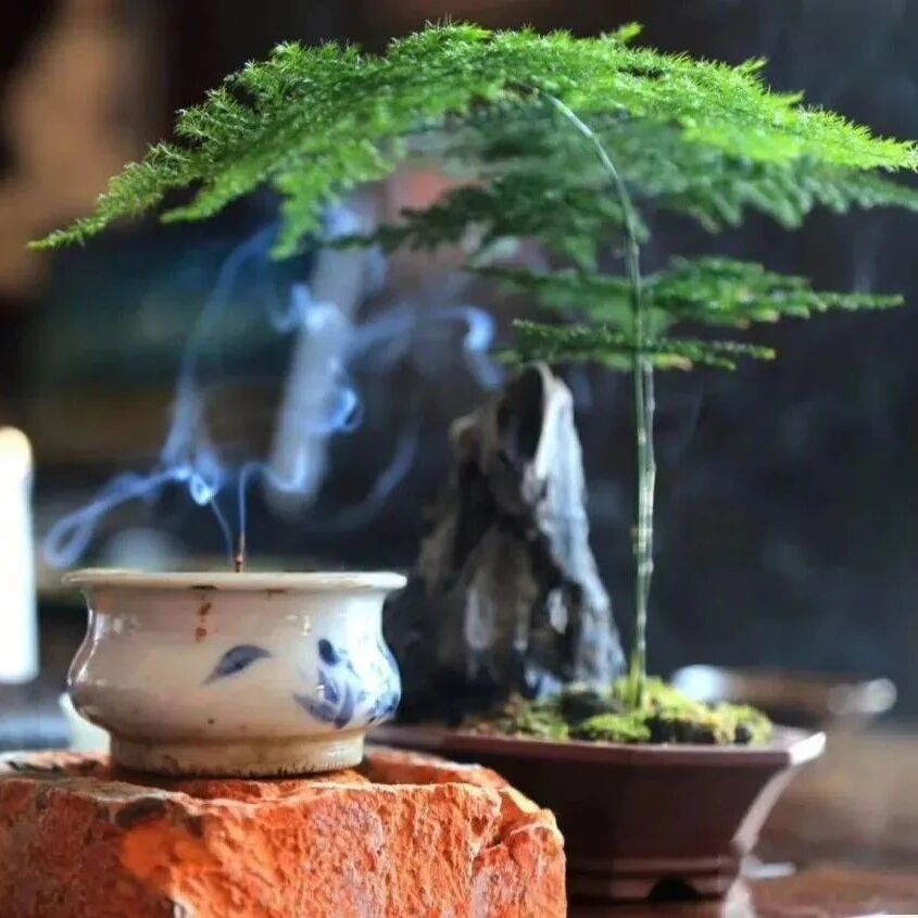多言，是一大恶德（深度好文）