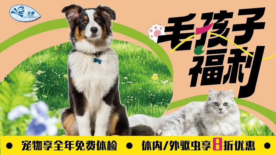 贝康宠物顶图.jpg