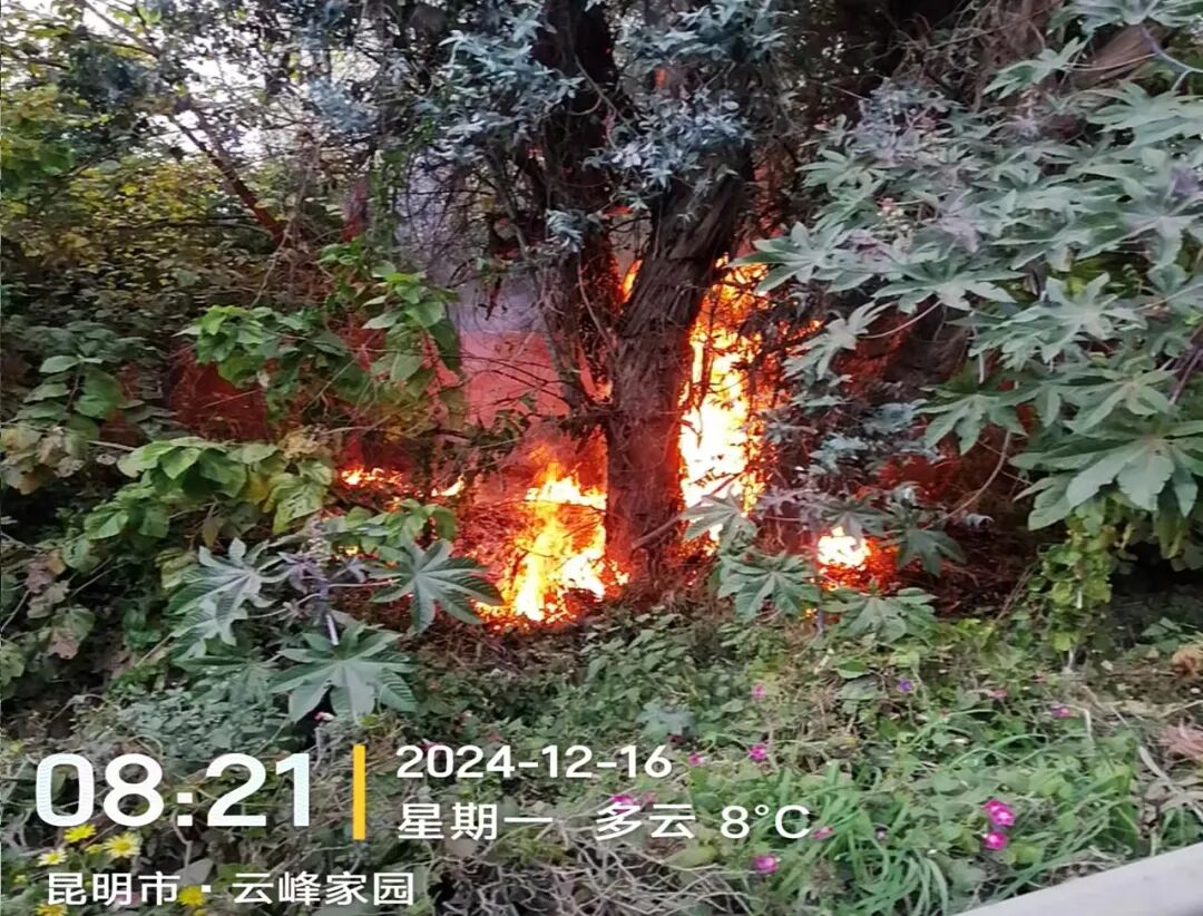 服务涵盖昆明无人机培训、昆明保安服务、昆明物业服务、昆明宠物医疗美容、昆明职业技能培训服务、昆明广告策划、昆明安防监控。