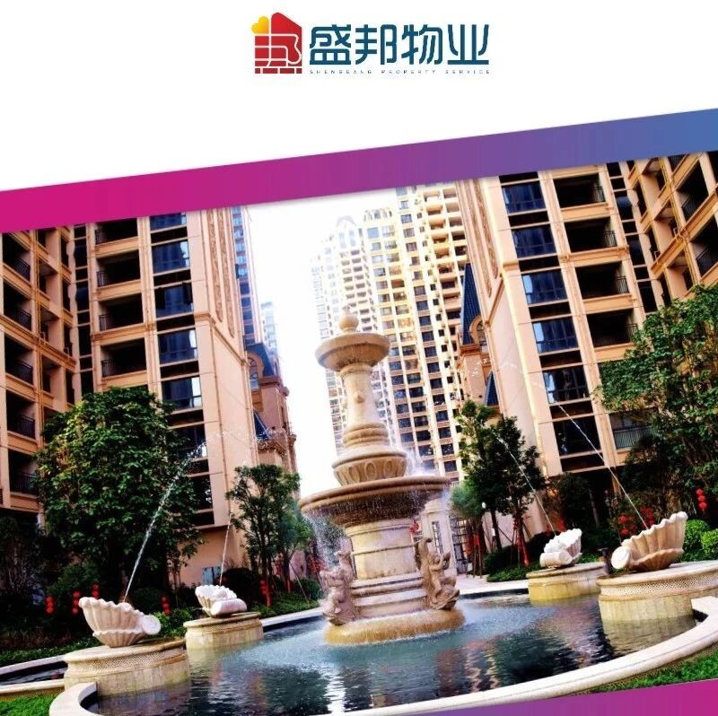 cover_image