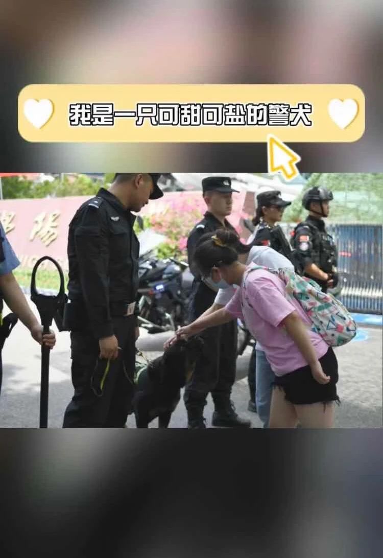 爸爸带红衣战袍小狗给女儿送考