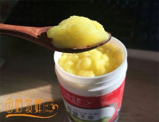 蜂王漿對痛風有好處嗎?蜂王漿痛風病人可以吃嗎?