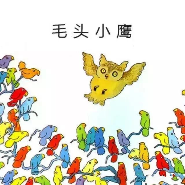 绘本故事——《毛头小鹰》-幼师课件网