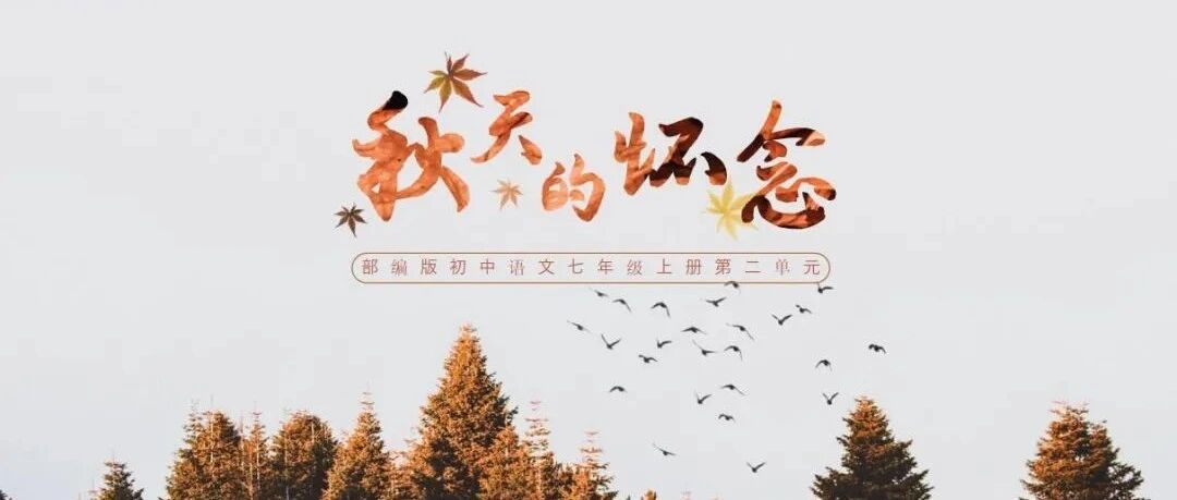 【湿地课堂】时慧慧：殚竭心力终为子，可怜天下父母心——《秋天的怀念》教学设计