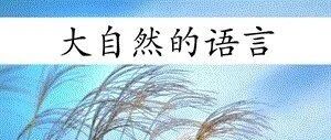 【湿地课堂】时慧慧：用心倾听，感知自然的魅力 ——《大自然的语言》语用型文本教学实录