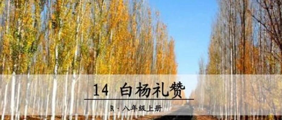 【青春语文· 时慧慧课堂教学】巧用技法，于不平凡中绘神奇 ——《白杨礼赞》教学设计