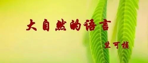 【湿地课堂】时慧慧课后反思：遗憾也是一种美——《用心倾听，感知自然的魅力——〈大自然的语言〉》公开课自评