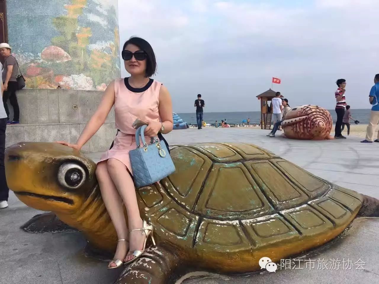 深圳旅游协会考察团阳江行
