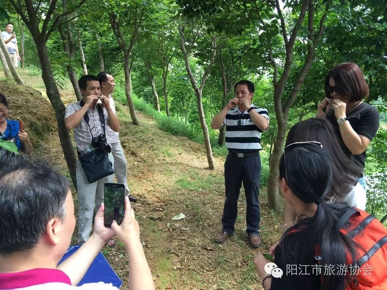 祝贺阳江市田山生态园基地荣获获得《广东省农业旅游示范点》的称号
