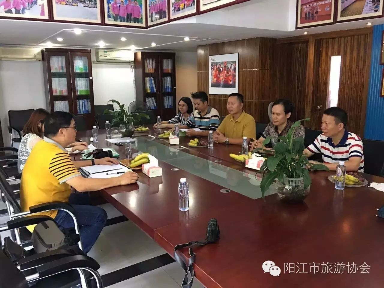 阳江市旅游协会正在创建5A协会