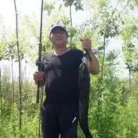 圖片關(guān)鍵詞