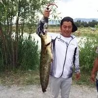 圖片關(guān)鍵詞