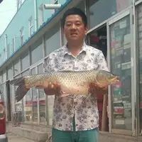 圖片關(guān)鍵詞