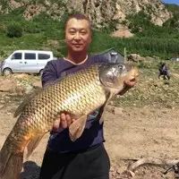 圖片關(guān)鍵詞