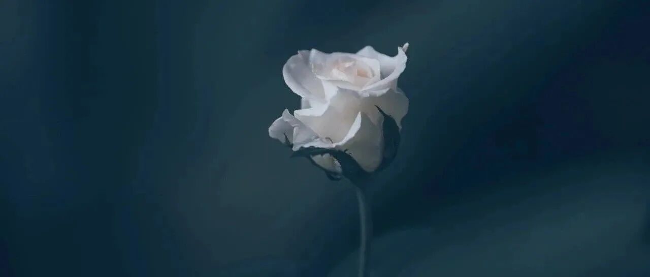 过了35岁你还能干嘛？这是我看过最棒的建议