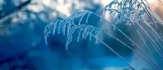 最新三九进九时间表，太实用了！（收藏)