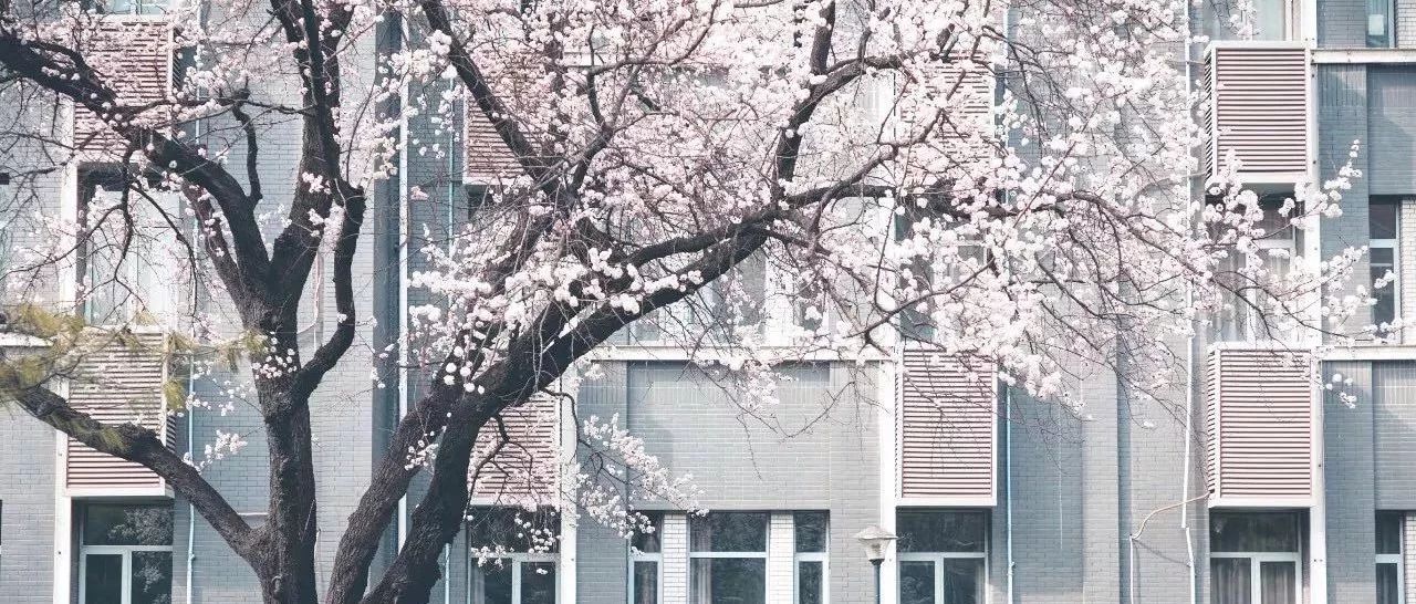 cover_image