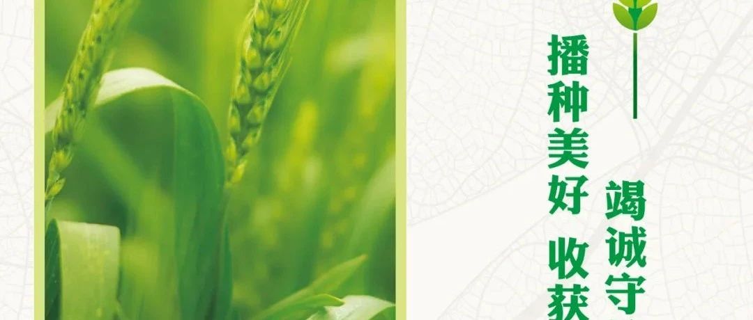 cover_image