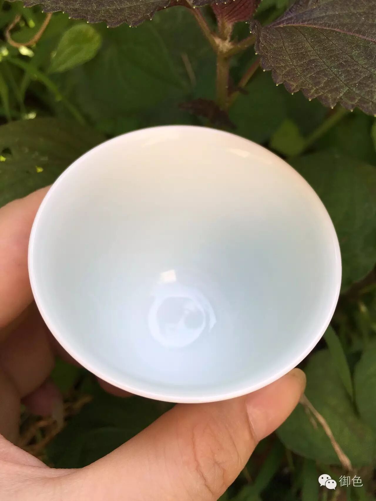 景德镇御色作品第一款：青花釉里红手绘松花神杯