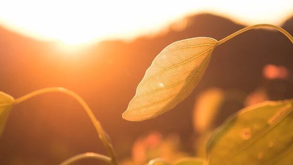 实践篇|如何获得自我的平衡，致良知？