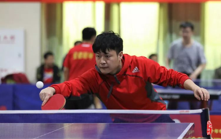2019年合肥市乒乓球联赛圆满结束(图64)