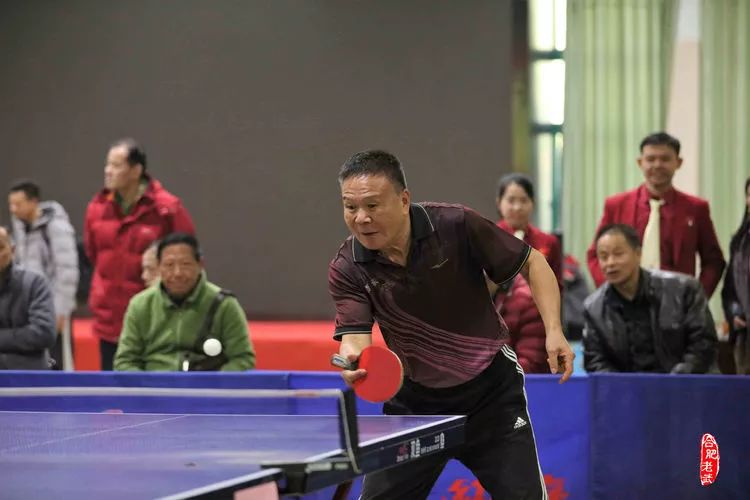 2019年合肥市乒乓球联赛圆满结束(图115)