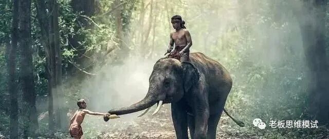 年底别人找你借钱，你急着问“借多少”就输了，聪明人这样说