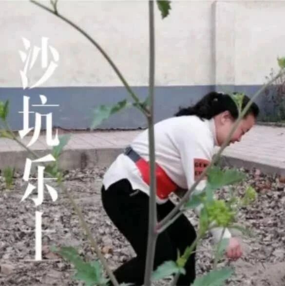 【湿地豫见】黄香云：探寻古诗文复习的妙方